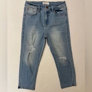 Nature Denim Distressed Capri Jeans Size 7/27